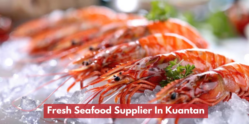 Fresh Seafood Supplier In Kuantan